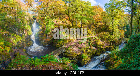 Aira Force Wasserfall und Aira Beck im Lake District National Park im Herbst. Cumbria, England. Stockfoto