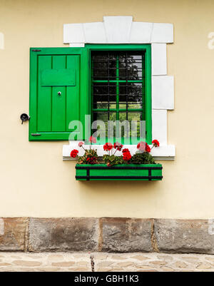 Grünes Fenster mit Fensterläden und Blumenkasten Stockfoto