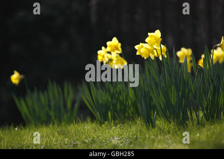 Das Wetter im Frühling Stockfoto