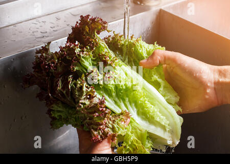 Mannes, Hände waschen Salatblätter. Stockfoto