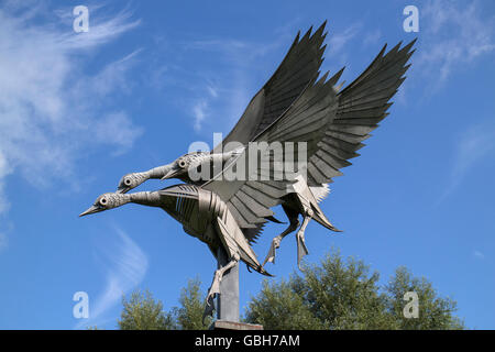 Detail der Metall-Skulptur von drei Stockente Enten über ins Land des britischen Bildhauers Walenty Pytel bei Ross-on-Wye, Herefordshire, Stockfoto