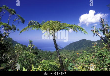 der Berg Landschaft auf der Insel Anjouan auf den Komoren abruptes im Indischen Ozean in Afrika. Stockfoto