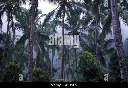 der Berg Landschaft auf der Insel Anjouan auf den Komoren abruptes im Indischen Ozean in Afrika. Stockfoto