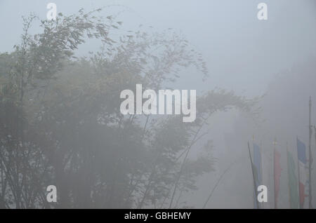 Landschaft aus Kaluk, West Sikkim, Indien Stockfoto