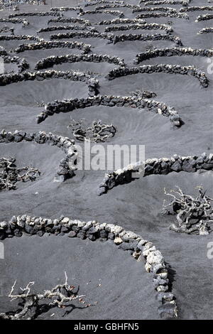 EUROPA, SPANIEN, ATLANTISCHER OZEAN, KANAISCHE INSELN, KANAREN, LANZAROTE, INSEL, VULKAN, LOURDESKAPELLE, WEIN, LANDWIRTSCHAFT, TOURISMU Stockfoto