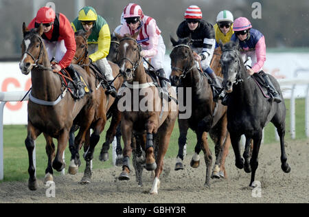 Pferderennen - Kempton Park Rennbahn Stockfoto