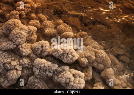 Die Küste mit Natursalz des Todes Meer ordentlich Dorf Mazraa in Jordanien im Nahen Osten. Stockfoto