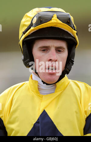 Pferderennen - die Heathcotes außen Handicap Hurdle Race - Bangor auf Dee Rennbahn Stockfoto