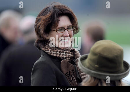 Pferderennen - die Heathcotes außen Handicap Hurdle Race - Bangor auf Dee Rennbahn Stockfoto