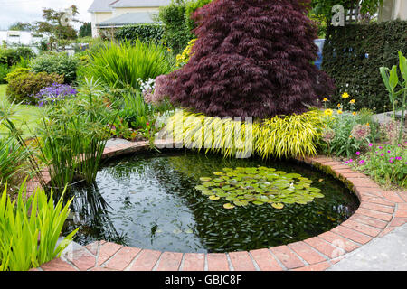 Dekorative Pool im Devon Privatgarten mit Hakonechloa Macra 'Alboaurea' und Acer Palmatum Dissectum 'Atropurpureum'. Stockfoto