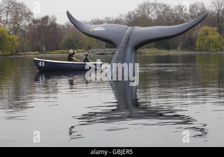 Ein 10 m hohes, 20 m breites lebensgroßes Modell eines Blauwal-Schwanzes, das vom National Geographic Channel im Serpentine im Londoner Hyde Park in Auftrag gegeben wurde, um die Premiere von Blue Whale Odyssey und die Einführung seines neuen Kanals, Nat Geo Wild HD, zu feiern. Stockfoto