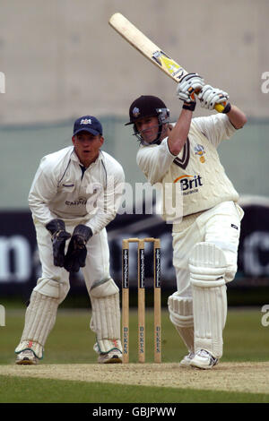 Ali Brown von Surrey trifft eine weitere Grenze gegen Gloucestershire Stockfoto