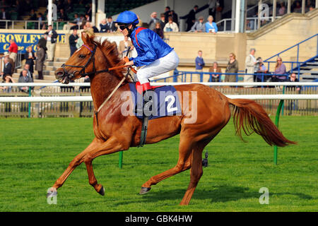 Pferderennen - Craven Meeting - Erster Tag - Newmarket. Jockey Johnny Murtagh auf Damaniyat Girl geht für das Leslie Harrison Memorial Nell Gwyn Stakes auf die Post Stockfoto