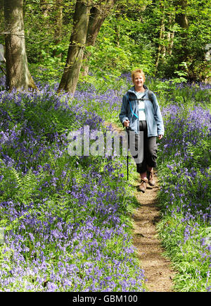 Das Wetter im Frühling Stockfoto