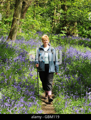 Das Wetter im Frühling Stockfoto