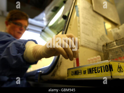 Ein Wissenschaftler behandelt Virusproben im West of Scotland Specialist Virology Centre am Gartnavel General Hospital, Glasgow, wo er Grippeproben auf Spuren der Schweinegrippe untersucht hat. Stockfoto