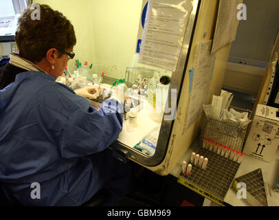 Ein Wissenschaftler behandelt Virusproben im West of Scotland Specialist Virology Centre am Gartnavel General Hospital, Glasgow, wo er Grippeproben auf Spuren der Schweinegrippe untersucht hat. Stockfoto