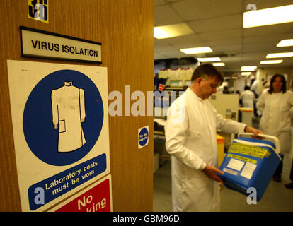 Ein Wissenschaftler behandelt Virusproben im West of Scotland Specialist Virology Centre am Gartnavel General Hospital, Glasgow, wo er Grippeproben auf Spuren der Schweinegrippe untersucht hat. Stockfoto