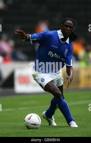 Fußball - freundlich - Hull City / Birmingham City. Mario Melchiot, Birmingham City Stockfoto