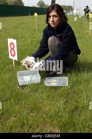 Kate Brady aus Oxford Archaeology mit Artefakten aus dem Ersten Weltkrieg, die aus dem Gebiet von Fromelles in Frankreich in der Nähe einer Massengräberstätte mit britischen und australischen Soldaten geborgen wurden. Die Bergung wird im Auftrag der australischen und der britischen Regierung unter Aufsicht der Commonwealth war Graves Commission durchgeführt. Stockfoto