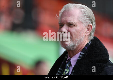 Fußball - Coca-Cola Football League Championship - Watford / Birmingham City - Vicarage Road Stadium. David Gold, Vorsitzender Von Birmingham City Stockfoto