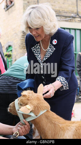 Camilla, Herzogin von Cornwall spricht mit Mitarbeitern, während sie die Hackney City Farm in London besichtigt, um die Arbeit der Federation of City Farms zu feiern. Stockfoto