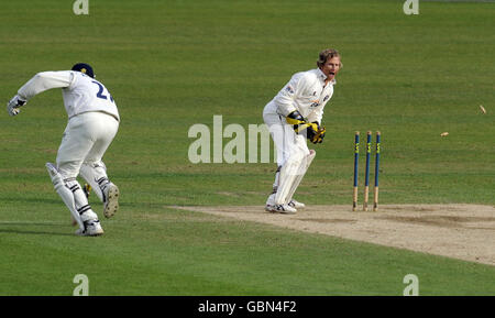 Cricket - Liverpool Victoria County Championship - Tag vier - Surrey V Middlesex - The Brit Oval Stockfoto