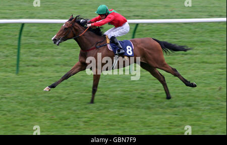 Gripsholm Castle von Ian Mongan gewinnt die Orbital Foods Maiden Stakes während der St. Nicholas Hospice Care Silver Jubilee Race Night auf der Newmarket Racecourse. Stockfoto