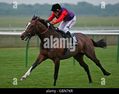 Pferderennen Sie - St Nicholas Hospiz Pflege Silberjubiläum Race Night - Newmarket Racecourse Stockfoto