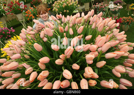 Chelsea Flower Show 2009 Stockfoto