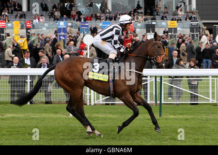 Pferderennen - 2009. Mai Festival - York Racecourse. Der Jockey Silvestre De Sousa auf Tournedos wird für das Totesuper7 Handicap eingesetzt Stockfoto