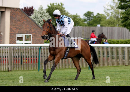 Pferderennen Sie-Betinternet Tag - Newmarket Racecourse Stockfoto