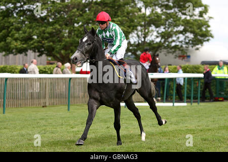 Pferderennen Sie-Betinternet Tag - Newmarket Racecourse Stockfoto