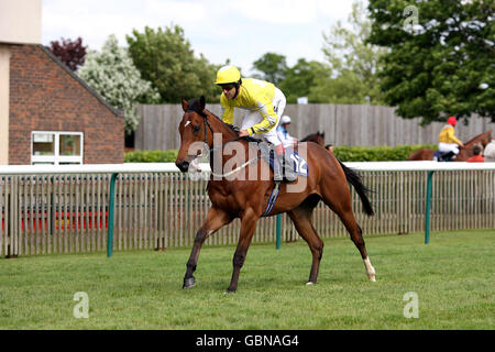 Pferderennen - betinternet Day - Newmarket Racecourse. Hard Ball von Darryll Holland geht auf den Posten Stockfoto