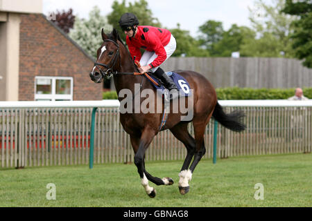 Pferderennen Sie-Betinternet Tag - Newmarket Racecourse Stockfoto