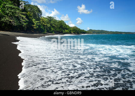 Schwarzen Sand Vulkanstrand im Tangkoko Nationalpark. Nord-Sulawesi. Indonesien Stockfoto