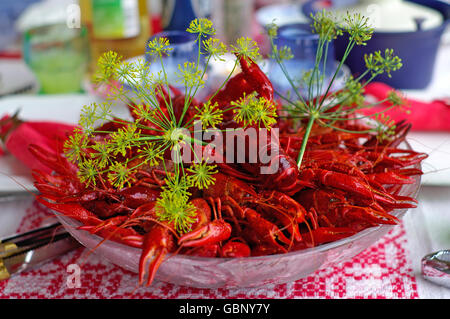 Langusten im August ist eine typisch schwedische Tradition. Stockfoto