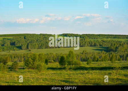 Sommer Sonnenuntergang über wunderschöne grüne Hügellandschaft. Schöne Landschaft. Hügellandschaft. Sanfte Hügellandschaft. Berge und Himmel. Stockfoto