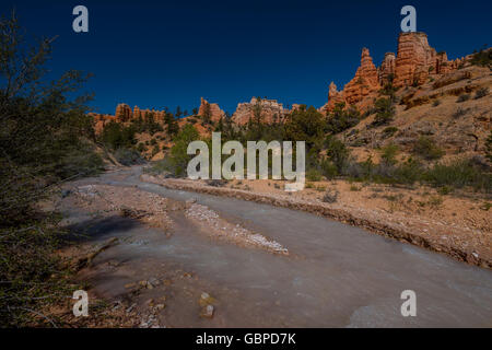 Creek in der Nähe von Mossy Cave Trail Bryce Canyon Stockfoto