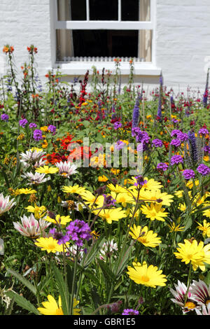 Pembroke Lodge im Richmond Park, London, UK. 2. Juli 2016. An einem warmen sonnigen Tag in London sind die Gärten in Pembroke Lodge in Richmond Park voll von schönen Blumen in voller Blüte. Bildnachweis: Julia Gavin UK/Alamy Live-Nachrichten Stockfoto