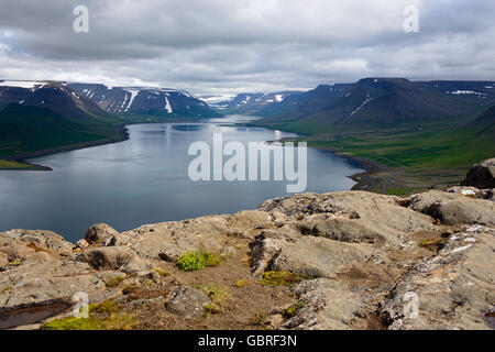 Aussichtspunkt aus Fjord Dyrafjordur, Westfjorde, Sandafell, Westiceland, Island / Dyrafjördur Stockfoto