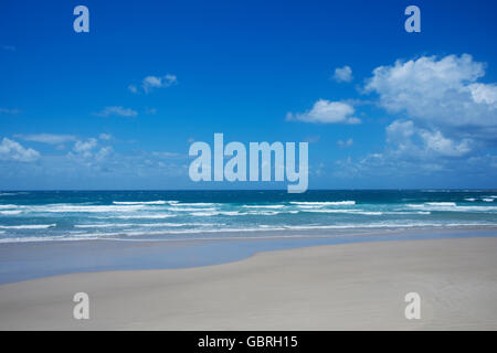 Verlassener Strand Arakwal National Park NSW Australia Stockfoto