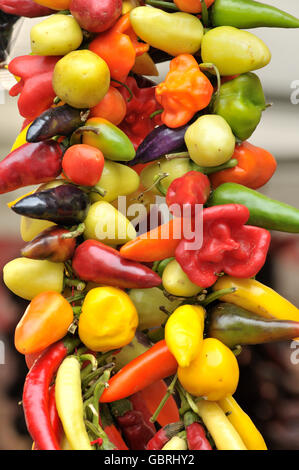 Paprika. La Boqueria Markt, Barcelona. Katalonien, Spanien Stockfoto