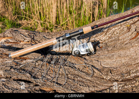 Angelrute mit Angeln Rollen auf dem natürlichen Hintergrund. Spinning und Fisch Stringer auf dem alten Baum mit braune Rinde. Stockfoto