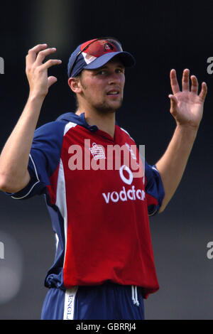 Cricket - NatWest Challenge - England gegen Indien. Steve Harmion, England Stockfoto