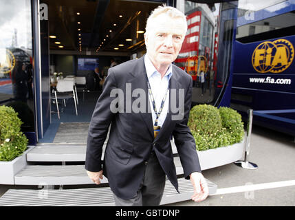 Motor Racing - Formel 1 Weltmeisterschaft - British Grand Prix - Praxis - Silverstone Stockfoto