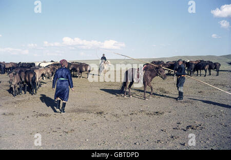 Geographie / Reisen, Mongolei, Tradition / Folklore, Pferdeherden, Gobi Wüste, 1971, zusätzliche-Rechte-Clearences-nicht vorhanden Stockfoto
