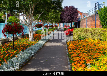 Blütenpracht Völker Parken Dun Laoghaire, dublin Stockfoto