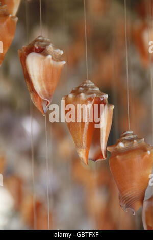 Muscheln in einem Restaurant am Strand Playa La Carmela auf Macanoao auf der Isla Margarita in der Karibik von Venezuela. Stockfoto