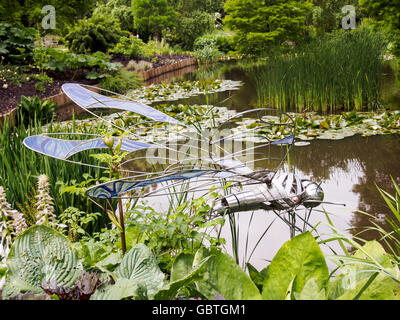 Drachen fliegen Skulptur durch den Teich an der The Sir Harold Hillier Gardens in Hampshire, England. Stockfoto